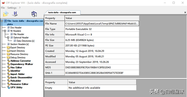 反汇编分析工具有什么用，反汇编分析工具有什么用途（PE、调试反汇编、应急、流量分析和WebShell查杀工具）
