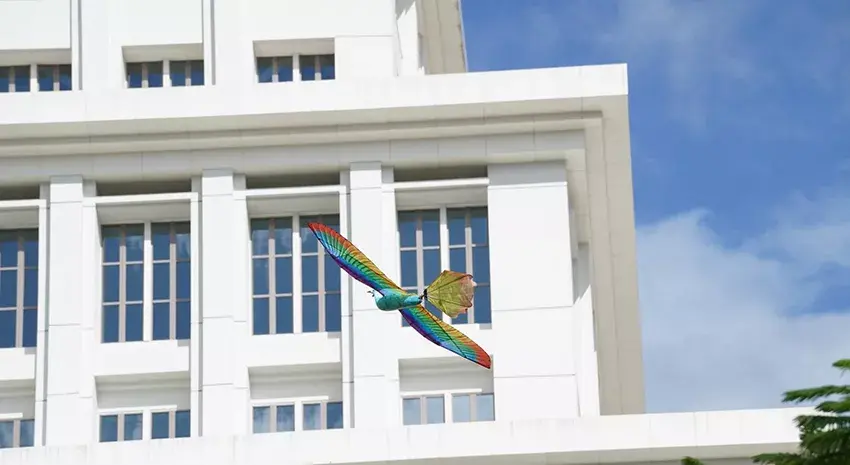 天工大学子成功捐献造血干细胞（@哈工大）