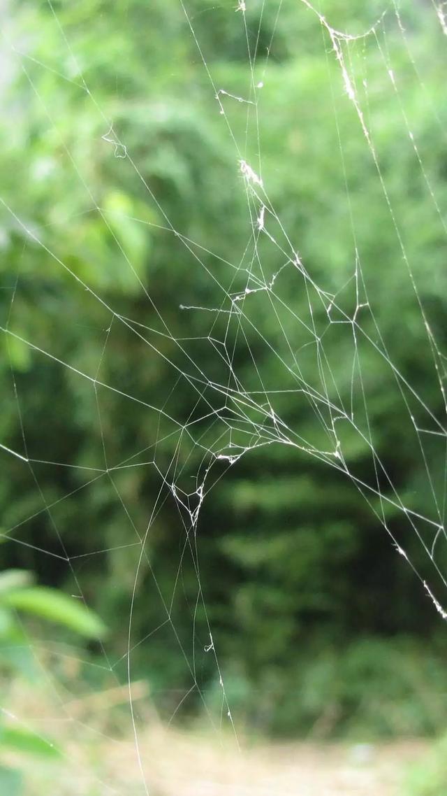 碎屏壁纸，碎屏壁纸 真实（30张以假乱真碎屏锁屏壁纸高清无水印下载图片）