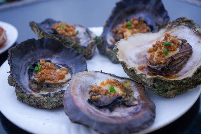 象拔蚌多少钱一斤，把象拔蚌立着自己坐上去视频（爬爬虾45元、生蚝2.5元、贝壳1元）