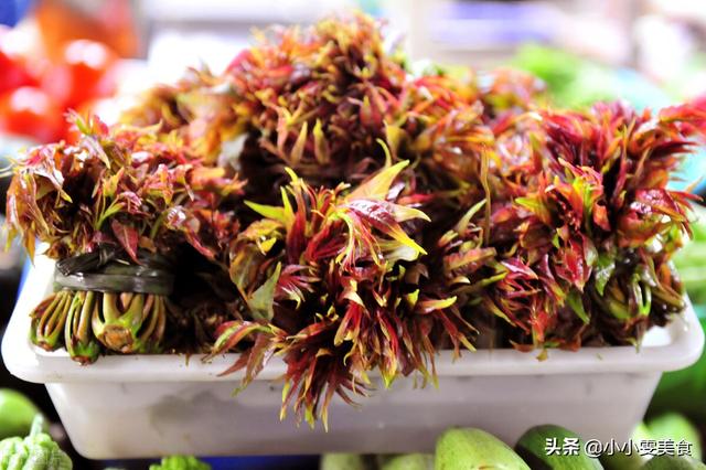 吃香椿的禁忌吃香椿要注意 吃香椿的禁忌介绍，吃香椿的禁忌吃香椿要注意（吃香椿时有“3忌”）