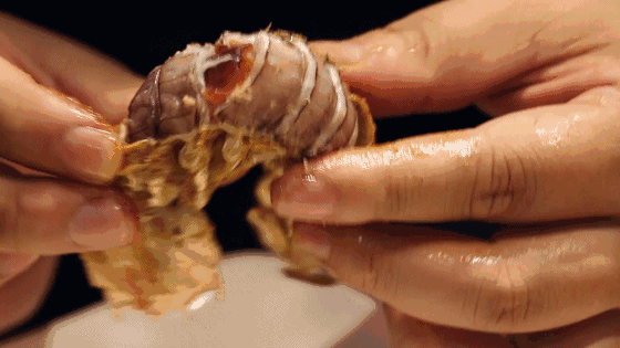 如何挑选琵琶虾，如何挑虾吃虾，一文说分明