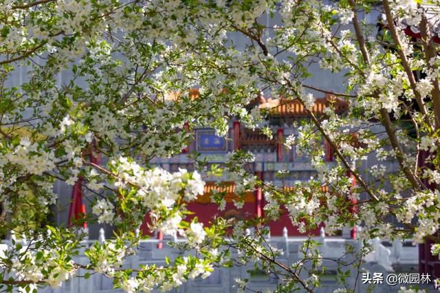 敛声息语的意思，敛声息语的意思是什么怎么造句（园林线上课堂<45>）