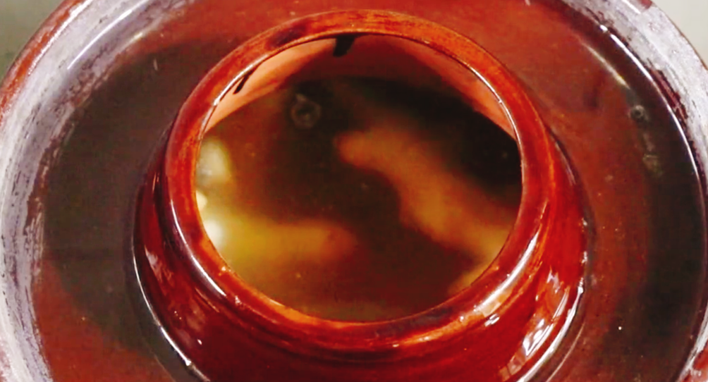 圖片[8]-【四川泡菜】做法步驟圖 酸辣爽脆不生花 放一年不會(huì)壞-起舞食譜網(wǎng)