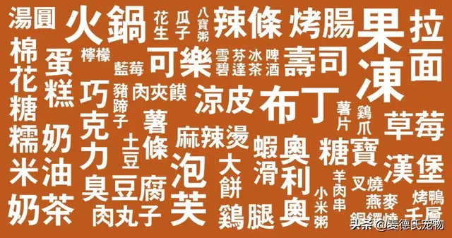 猫咪起什么名字最好听母猫，中国铲屎官绝对把气质