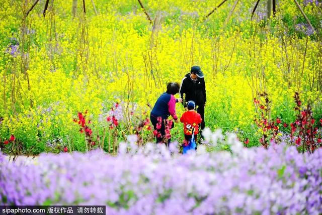 北京免费开放的景点，北京十大景点免费开放的地方（就藏着“小苏杭”“小奈良”）