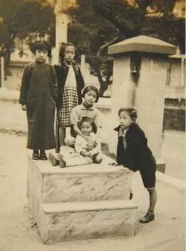 落花生的资料，落花生的资料简介（“落花生”的女儿）