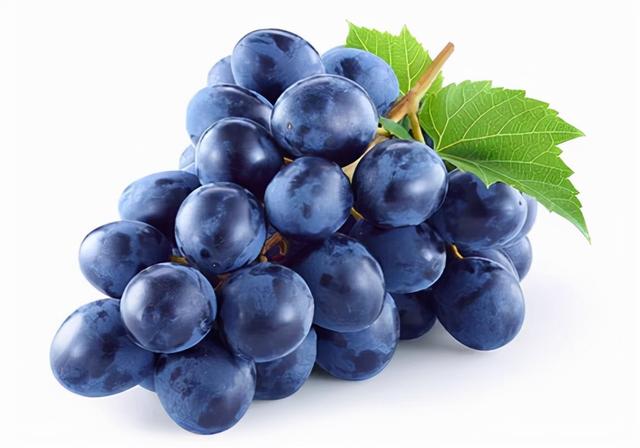 小便出血怎么办，小便时尿出血是怎么回事（狗尿出来血是什么原因是什么）