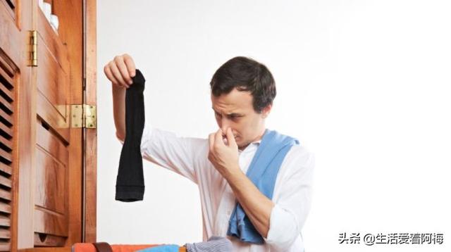 霸王芋，卫生间潮湿、发霉、不通风（霸王芋的养殖方法和注意事项）