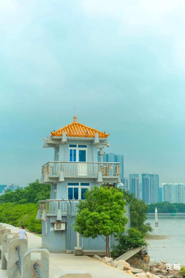 深圳哪里好玩又便宜，深圳哪里好玩又便宜的地方（《11月深圳打卡指南》来了）