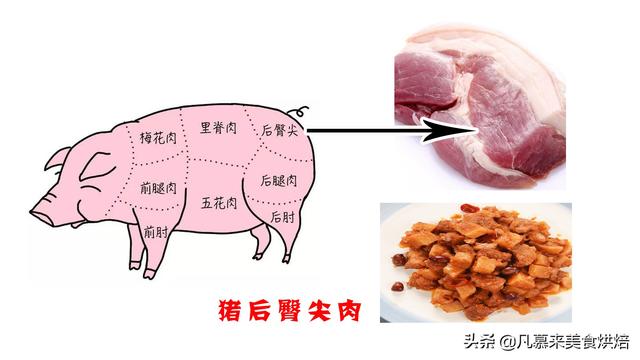 什么是母猪肉，猪肉都是母猪吗（猪肉各部位图解与介绍）