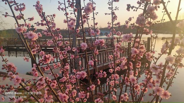 磁县旅游景点大全，磁县网红景点（磁县周边景点）