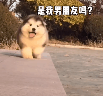 聊天必备表情包'，微信头像，聊天必备表情包'（17个抖音近期热门表情包）