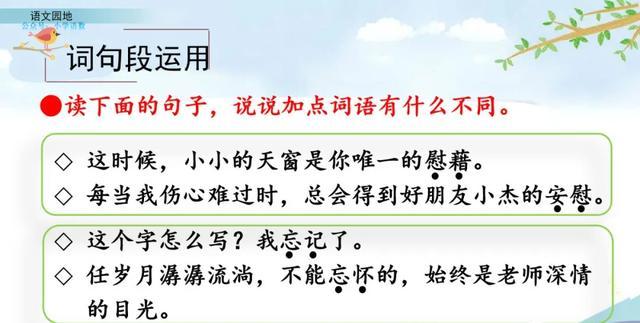 指指点点的意思，部编语文四年级下册《语文园地八》图文解读+知识点+课堂测试