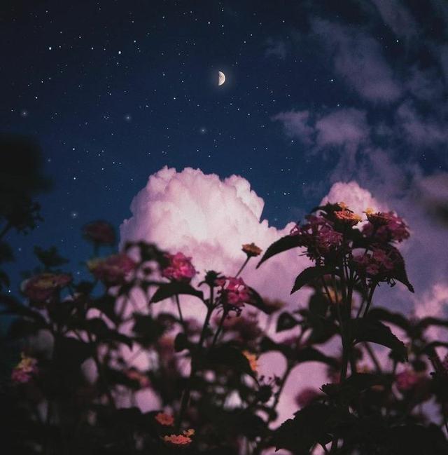 美好阳光且干净的女生头像  星空迷上了山野微信，美好阳光且干净的女生头像  星空迷上了山野，有雾有灯也有归人。（有哪些好看非人物的头像）