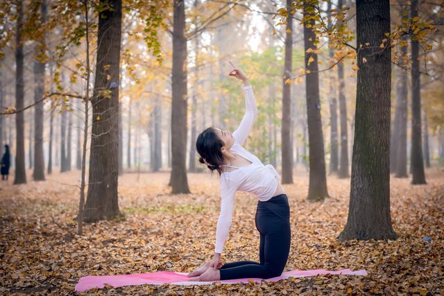 郯城银杏林在哪，郯城银杏林在哪个村（遇见2020年最后一抹秋色）