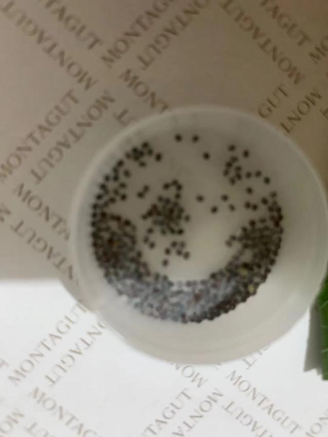蚕卵孵化需要多少天，蚕卵孵化需要多少天时间（第一只蚕宝宝孵化出来了）