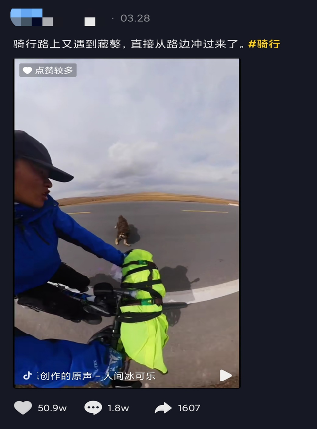 世界第一獒王2亿，中国藏獒十大獒王排名（泡沫是怎么破灭的）