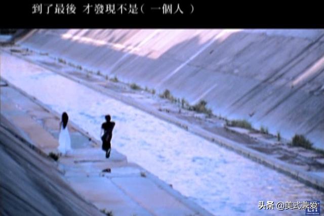 范逸臣 - 忘了爱歌词是什么，范逸臣的放生（他是王菲孙燕姿的作词人）