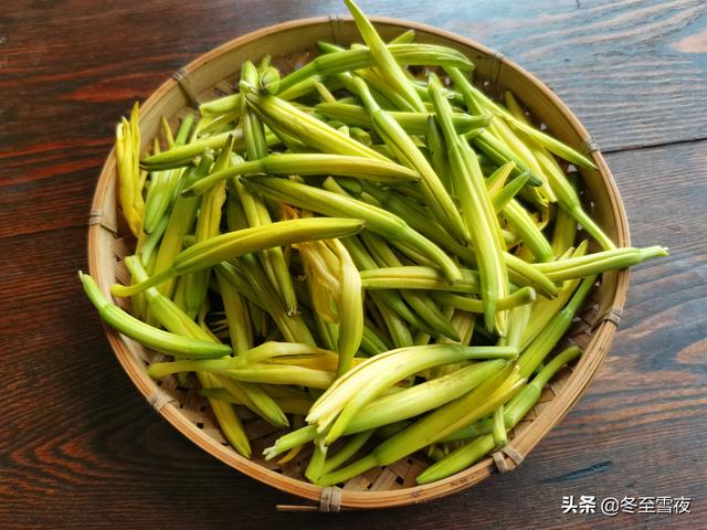 金针花怎么吃健康合理，金针花的花心能吃吗（新鲜黄花菜有毒吗）