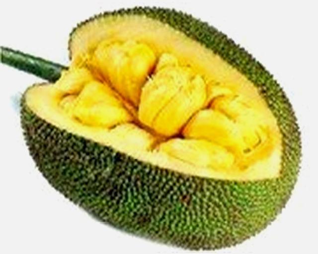 榴莲蜜和菠萝蜜的区别，榴莲蜜和菠萝蜜的区别是什么（榴莲蜜和菠萝蜜的区别是什么意思）