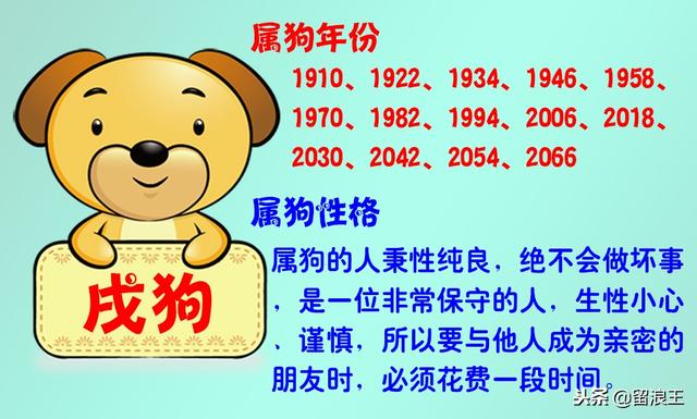 十二生肖与人生运势，十二生肖财富运势（十二生肖的性格及运势）