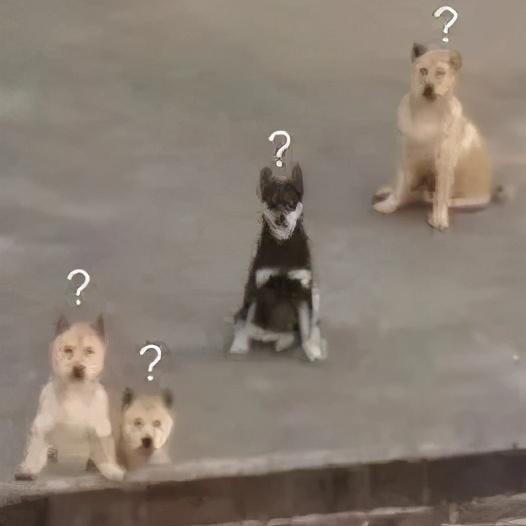 旺街返利网，一淘网如何实现返现的？什么是返现（被网友骂割韭菜的返利网内忧外患）