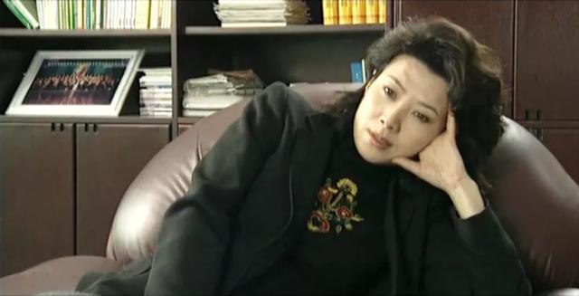 大陆黑社会电视剧，涉黑电视剧（内地评分最高的10部反腐剧）