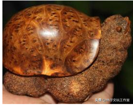 麻梨疙瘩手串怎么盘，麻梨疙瘩手串怎么盘玩包浆快（制成手串盘玩起来包浆很漂亮）