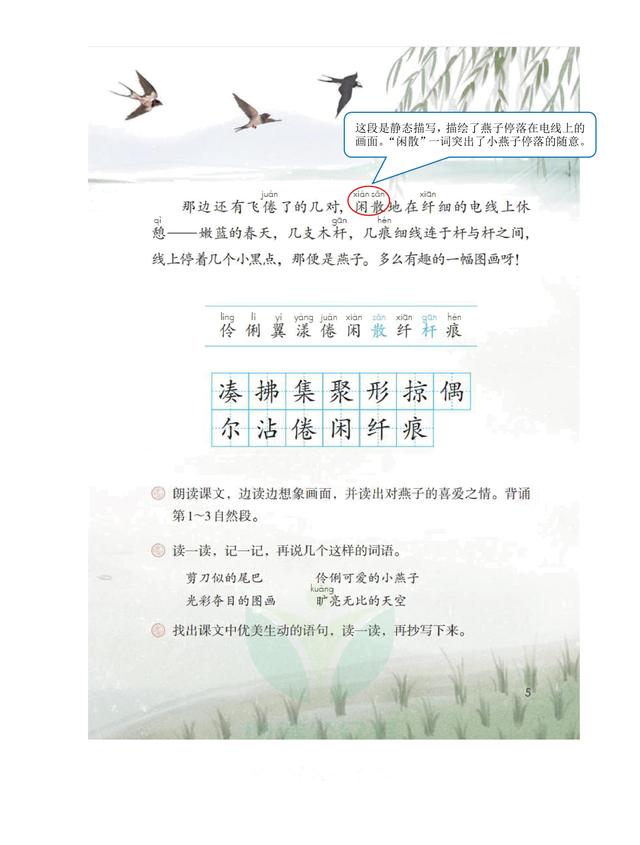 独角仙的特点是什么，独角仙的特点是什么什么,分别用了什么什么什么的方法（三年级语文下《第一单元课堂笔记》三个版本）