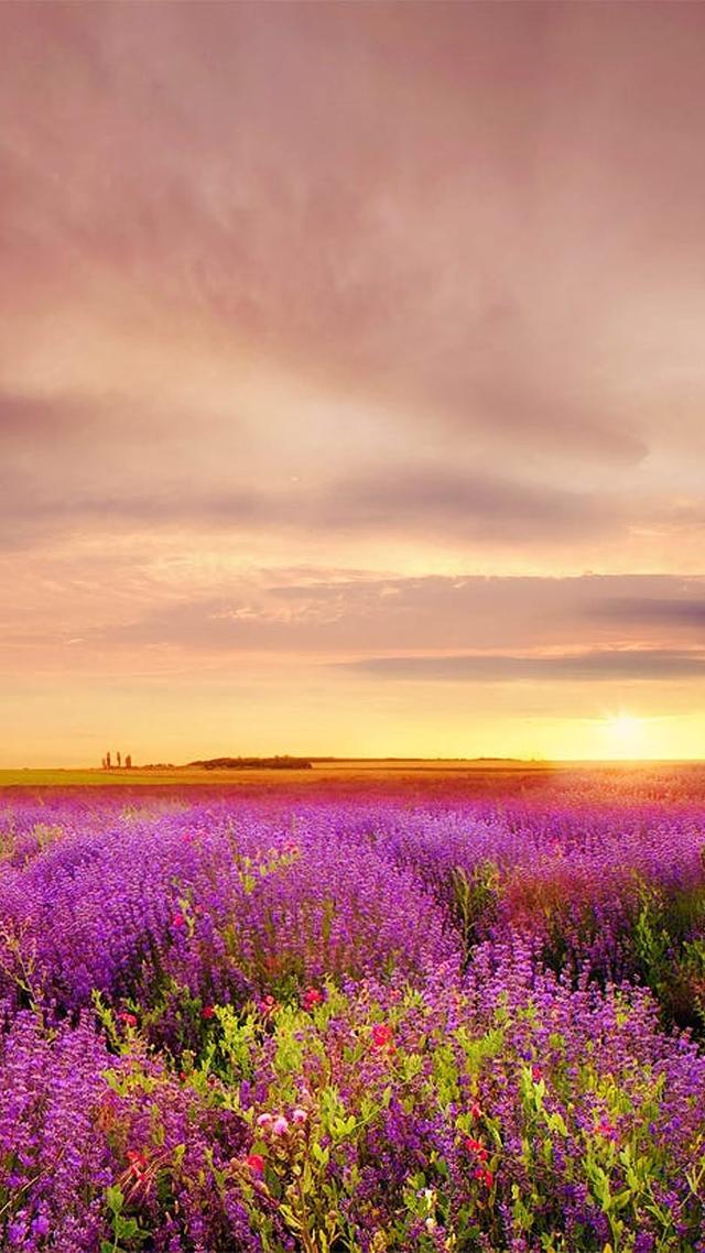 风景图片手机壁纸，超美风景手机壁纸高清（唯美手机锁屏风景壁纸）
