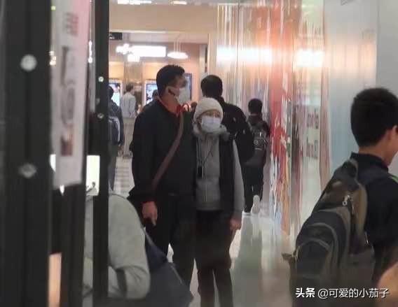 女人梦见飞蛾什么预兆，梦见飞蛾是什么寓意（黄日华太太出殡日期确定）