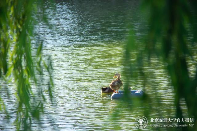北京交通大学研究生招生网，2021北京交通大学研究生学费及各专业学费多少钱一年（欢迎报考北京交通大学研究生）