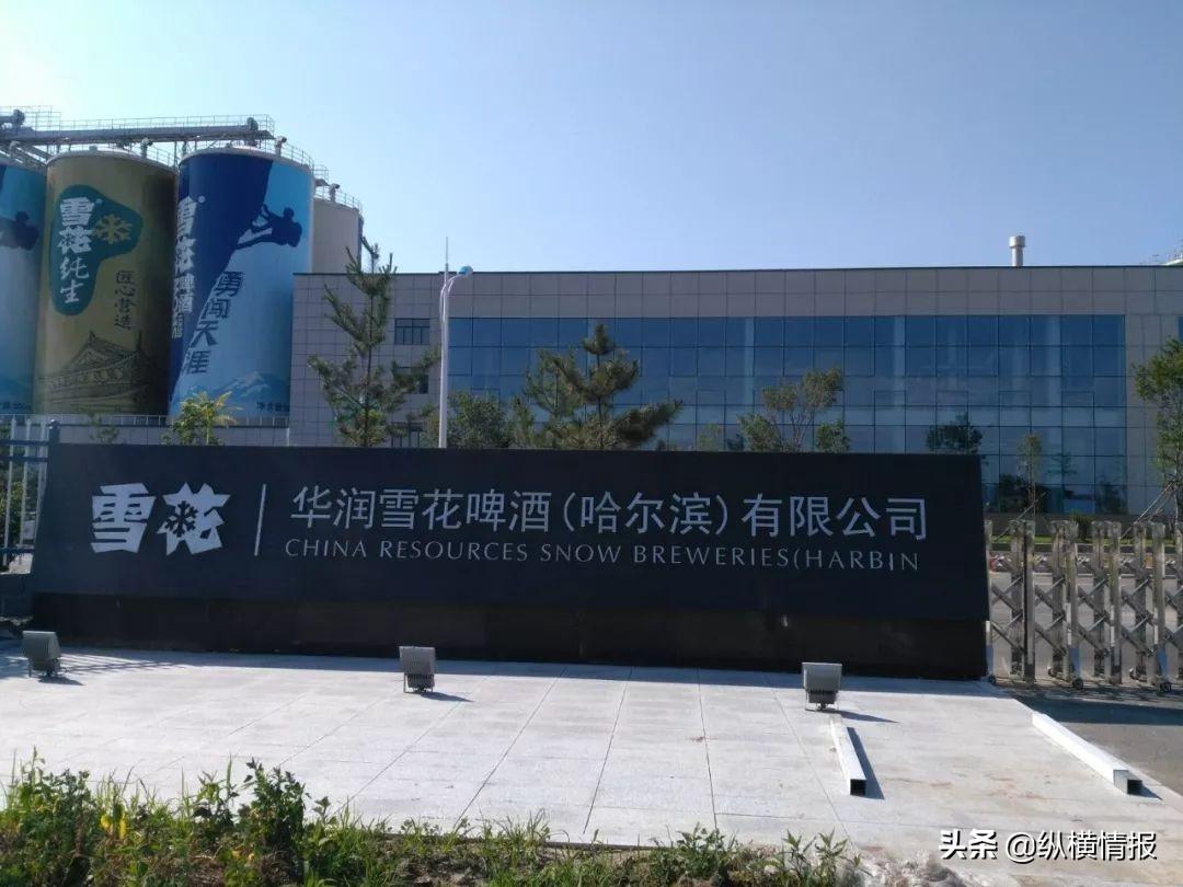 奇瑞是国企吗(奇瑞混改后还是国企吗)
