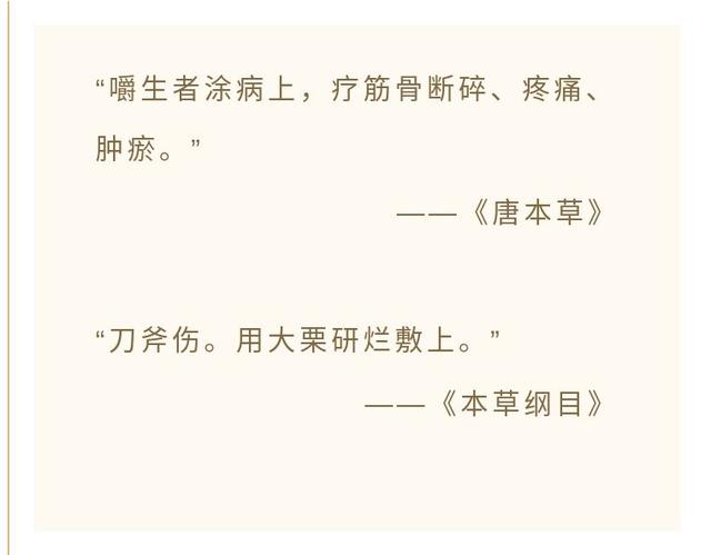 板栗可以生吃吗，没熟的板栗可以生吃吗（栗子熟吃健脾、生吃补肾）