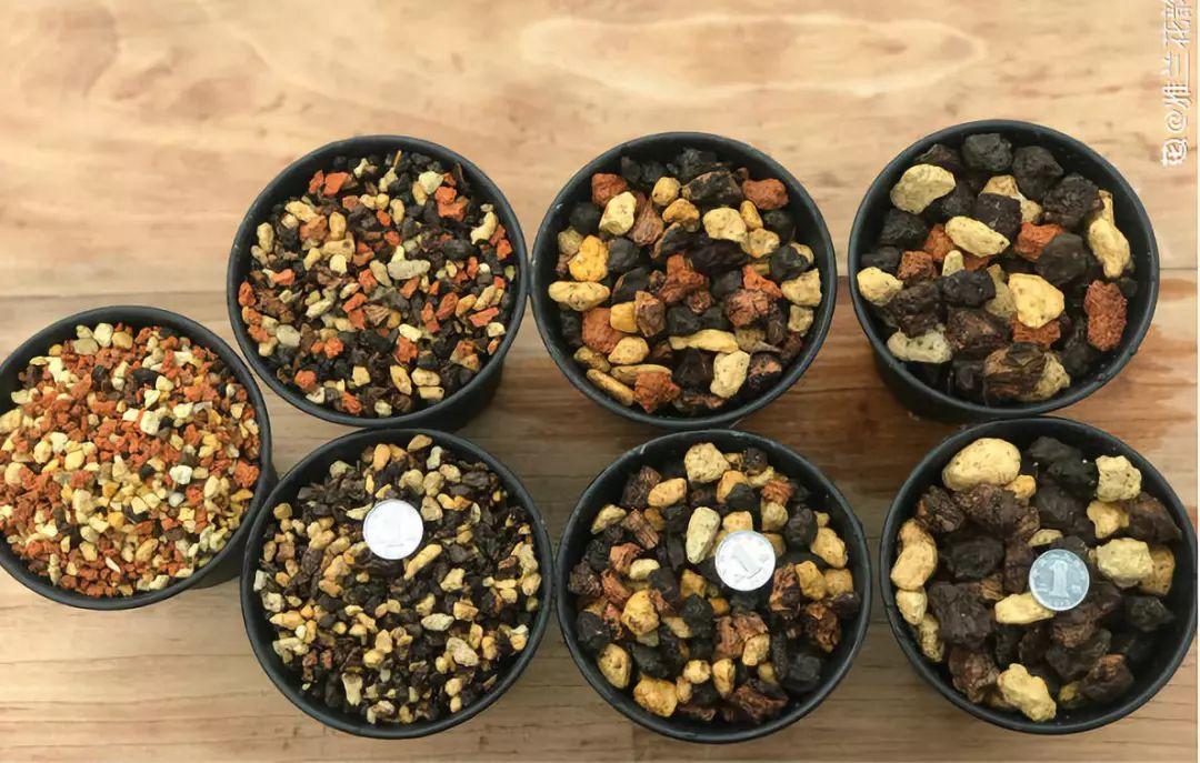 兰花什么时候开花，兰花开花时间（兰花最全养护要点）