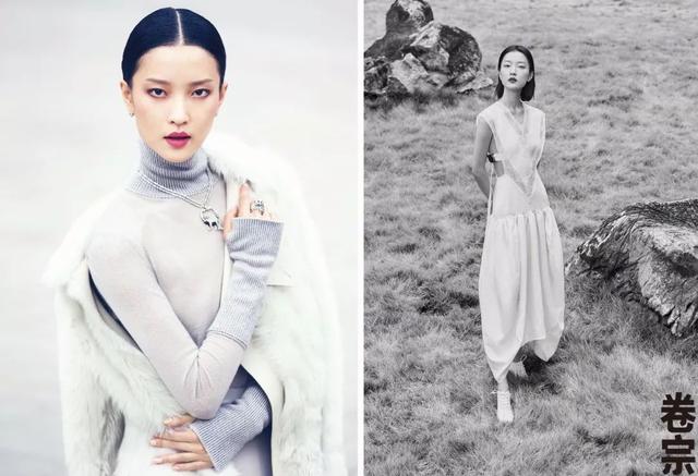 瑞凤眼是什么意思，二十种眼形大全图解（宋慧乔是杏眼、刘亦菲是瑞凤眼、李荣浩的太小了.）