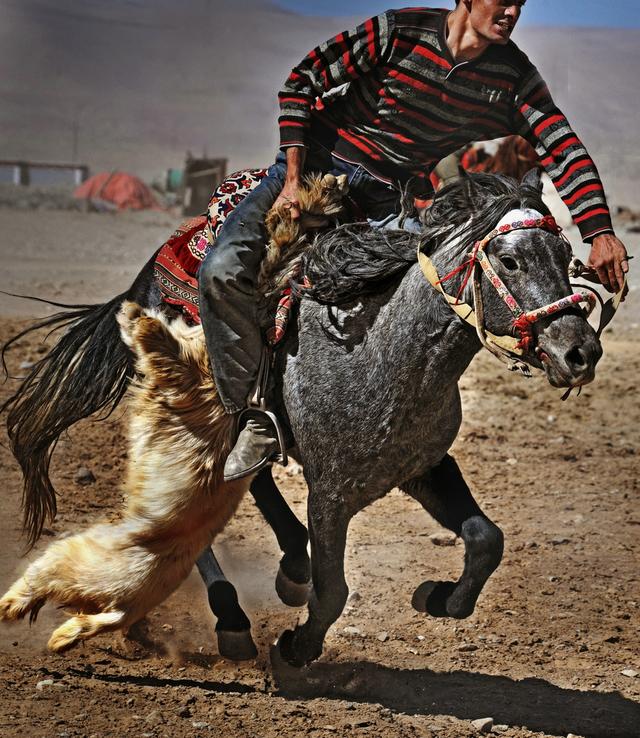 用马字组词有什么，马字组词还有什么（拍马“留序”摄影浅谈）