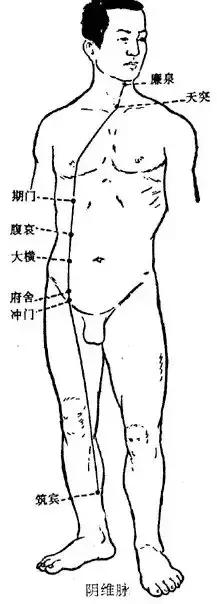 奇经八脉图解，详解奇经八脉！<收藏再看>