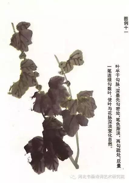 花的画法——菊花的画法，菊花是怎么画（菊花画法大全）