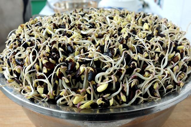 杂粮有哪些品种，粗粮都有什么（中国豆类大全）