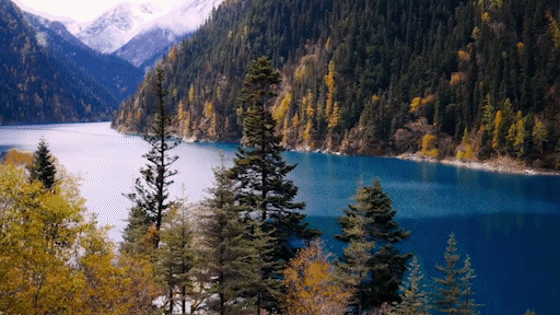 九寨沟在哪个市，九寨沟在哪里个城市（刚刚，九寨沟全域，重新开放）