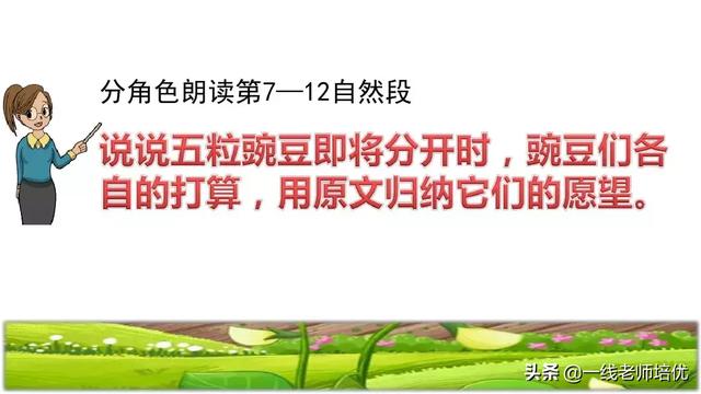 才华横溢的近义词，形容聪明才华横溢的成语有哪些（部编四年级上第5课《一个豆荚里的五粒豆》重点知识+课文讲解）