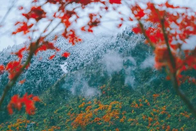 西岭雪山官网订门票，西岭雪山官网直播（含景区门票+交索往返）