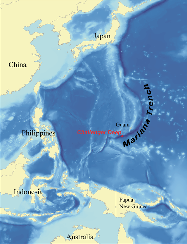 最深的海沟叫啥，最深的海沟是哪儿（马里亚纳海沟最深处是斐查兹海渊）