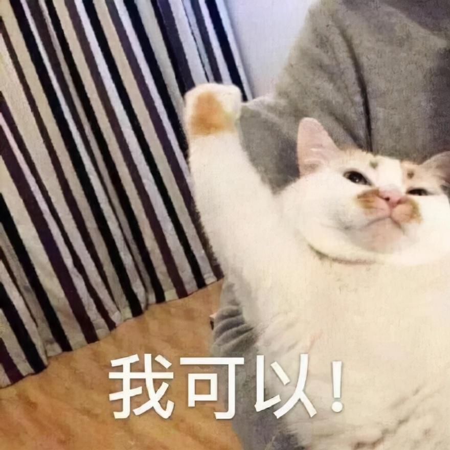 网站制作软件哪个好用免费（不要钱的网站制作APP）