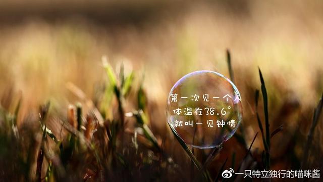 傻瓜，别执着了，傻傻的执着什么意思（请善待你身边的那个大傻瓜图片）