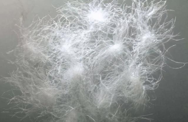 高分子聚合物是指什么，什么是高分子聚合物,有什么特点（羽绒枕、记忆枕、荞麦枕、乳胶枕......都是啥）