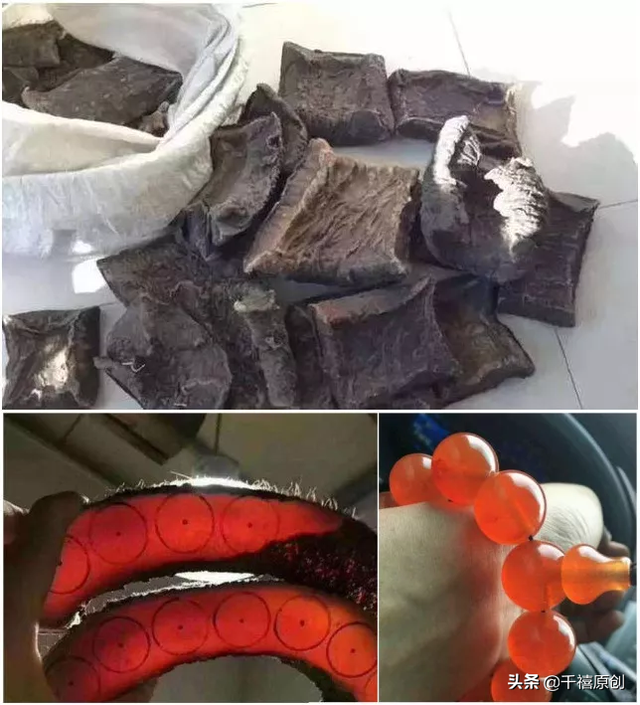 狼牙什么属相的人不能佩戴，不适合带狼牙的属相（这5种动物首饰你还敢戴）