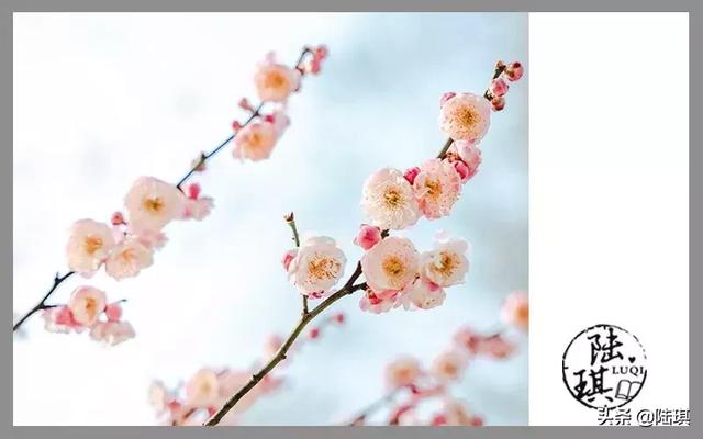 情侣吵架了冷战怎么处理，情侣吵架最好的解决办法（情侣吵架急救手册：只有这样做）